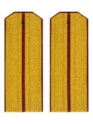 Погоны Росгвардии ФСВНГ парадные золотые 1 просвет 14х5см картон