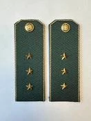 Погоны Таможенной службы на китель темно-зеленые картон звание Старший Прапорщик