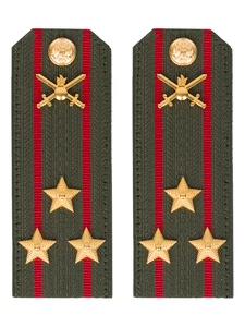 Погоны МО Сухопутные войска зеленые звание Полковник Картон