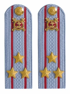 Погоны Полиции картон голубые Полковник 12 см