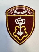 Шеврон Росгвардия Центральный округ Вневедомственная охрана краповый пластизоль