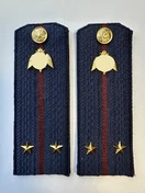 Погоны Росгвардии ФСВНГ на куртку 14см ПЛАСТИК звание Лейтенант цвет темно-синий