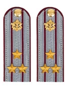 Погоны ФСИН на рубашку картон звание Полковник 12см