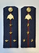 Погоны Росгвардии ФСВНГ на куртку 13см Картон звание Капитан цвет темно-синий