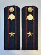 Погоны Росгвардии ФСВНГ на куртку 13см Картон звание Майор цвет темно-синий