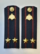 Погоны Росгвардии ФСВНГ на куртку 13см Картон звание Подполковник цвет темно-синий