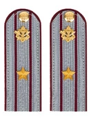 Погоны ФСИН серые картон звание Майор 13 см