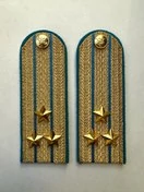 Погоны ФССП парадные золотые с фурнитурой звание Полковник Картон 13см