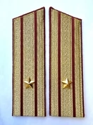 Погоны Росгвардии ФСВНГ парадные золотые 17 см Скос звание Майор