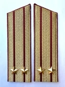 Погоны Росгвардии ФСВНГ парадные золотые 17 см Скос звание Подполковник