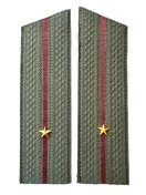 Погоны Росгвардии ФСВНГ на китель в сборе Младший Лейтенант скос галун 17х5см