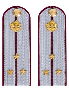 Погоны ФСИН на рубашку картон (в сборе) укомплектованные с фурнитурой звание Cтарший лейтенант 14х5 см