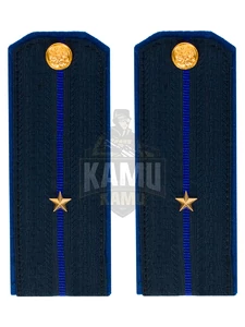 Погоны ФСБ на китель цвет синий картон, звание Младший лейтенант 14х5,5см