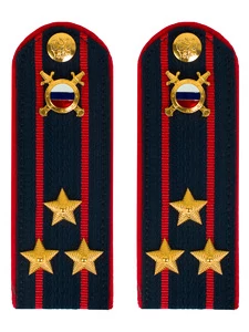 Погоны МВД внутренняя служба на куртку темно-синие картон звание Полковник 14см