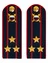 Погоны МВД внутренняя служба на куртку темно-синие картон звание Полковник 14см