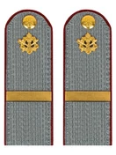 Погоны ФСИН серые на рубашку картон (в сборе) звание Ефрейтор