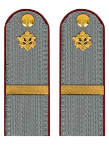 Погоны ФСИН серые на рубашку картон (в сборе) звание Ефрейтор