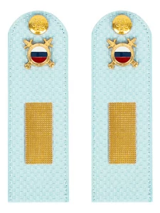 Погоны МВД внутренняя служба на рубашку голубые ПЛАСТИК Звание Старшина