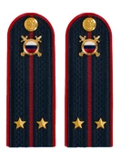 Погоны МВД внутренняя служба на куртку темно-синие ПЛАСТИК звание Лейтенант