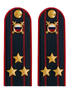 Погоны МВД внутренняя служба на куртку темно-синие ПЛАСТИК звание Полковник