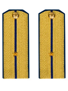 Погоны парадные ФСБ золотые картон звание Младший Лейтенант