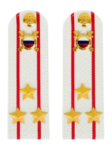 Погоны МВД внутренняя служба на рубашку белые ПЛАСТИК Звание Полковник 13,5см