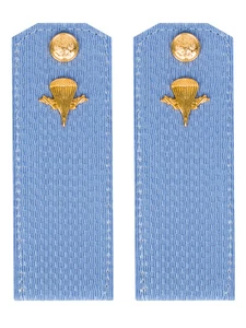 Погоны МО ВДВ голубые на рубашку Рядовой в сборе Картон