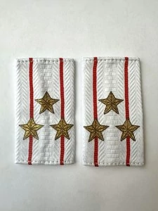 Фальш погоны Полиции нового образца БЕЛЫЕ звание Полковник 9х5 см