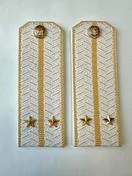 Погоны Таможенной службы белые картон звание Лейтенант
