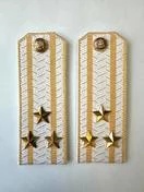 Погоны Таможенной службы белые картон звание Полковник