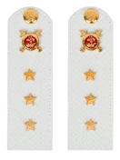 Погоны Полиции на рубашку белые ПЛАСТИК Звание Старший Прапорщик