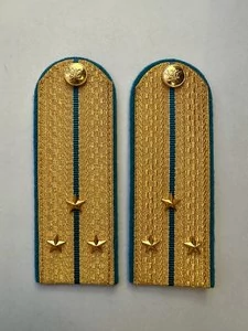 Погоны ФССП парадные золотые с фурнитурой звание Старший Лейтенант Картон