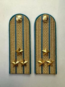 Погоны ФССП парадные золотые с фурнитурой звание Полковник Картон