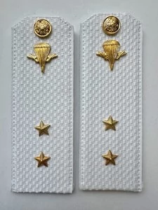 Погоны ВДВ с фурнитурой белые Прапорщик КАРТОН