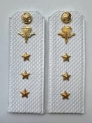 Погоны ВДВ с фурнитурой белые Старший Прапорщик КАРТОН