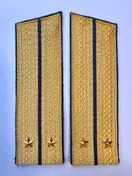 Погоны парадные ФСБ золотые картон звание Лейтенант 17см Скос