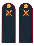 Погоны Полиции темно-синие КАРТОН Звание Рядовой 15см