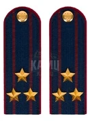 Погоны ФСИН на КИТЕЛЬ картон звание Полковник 12 см