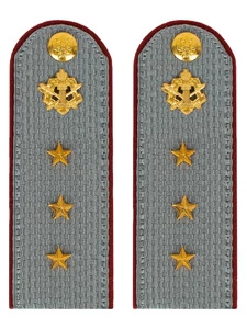 Погоны ФСИН серые на рубашку Картон (в сборе) звание Старший Прапорщик 12 см