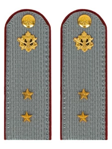 Погоны ФСИН серые на рубашку Картон (в сборе) звание Прапорщик 13 см