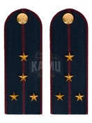 Погоны ФСИН на КИТЕЛЬ картон звание Капитан 13 см