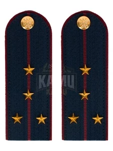 Погоны ФСИН на КИТЕЛЬ картон звание Капитан 13 см