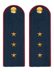 Погоны ФСИН на Китель звание Старший Прапорщик картон темно-синие 13 см