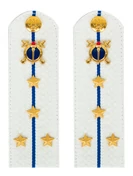 Погоны Юстиции белые ПЛАСТИК звание Капитан 13см