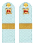 Погоны Полиции на рубашку голубые КАРТОН Звание Старший Сержант 13 см