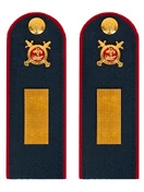 Погоны Полиции темно-синие КАРТОН Звание Старшина 12см