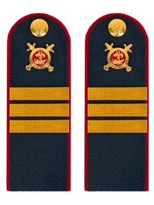 Погоны Полиции темно-синие КАРТОН Звание Сержант 12см