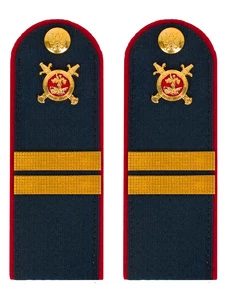 Погоны Полиции темно-синие КАРТОН Звание Младший Сержант 12см