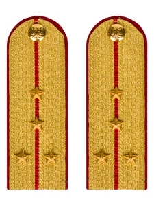 Погоны МВД парадные звание Капитан цвет золотой