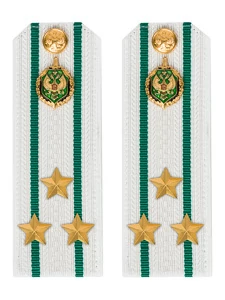 Погоны Пограничной службы ПС ФСБ в сборе КАРТОН белые звание Полковник 14х5см